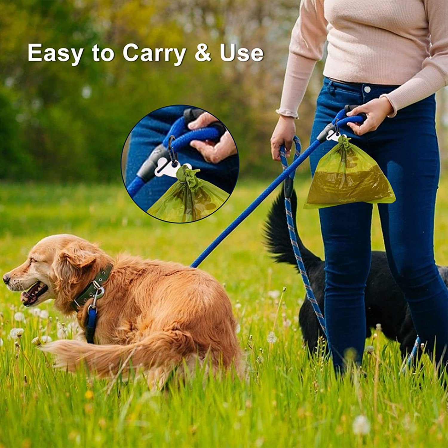 2-Pack Dog Poop Bag Holder & Dispenser - Leash Attachment for Hands-Free Waste Management - Black & Purple Metal Carriers