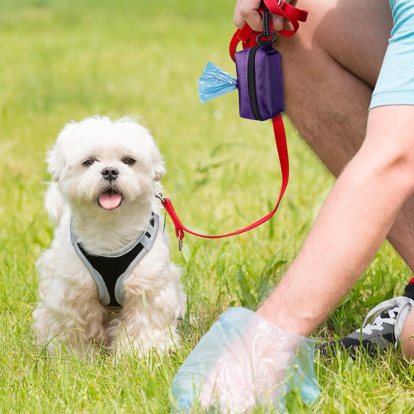 2-Pack Dog Poop Bag Holder & Dispenser - Leash Attachment for Hands-Free Waste Management - Black & Purple Metal Carriers